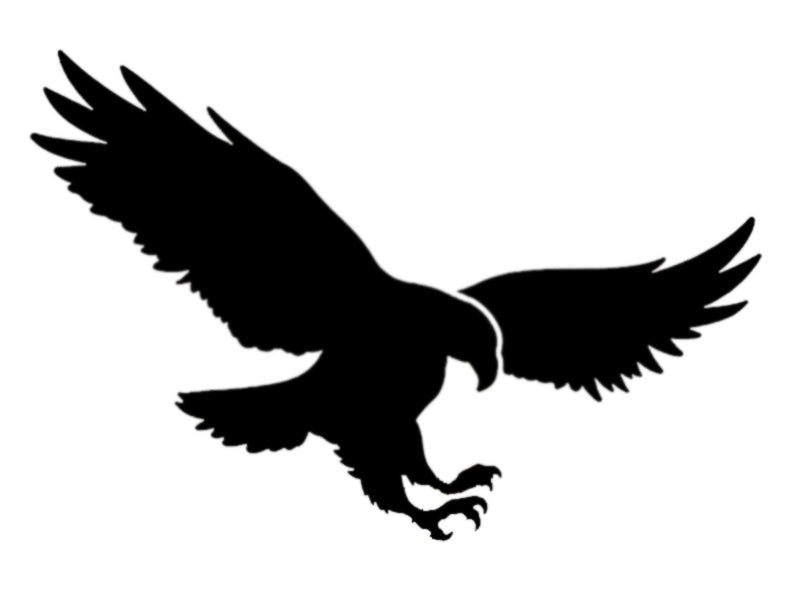 American Eagle Flying - Stencil
