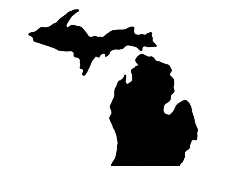 State of Michigan Custom Stencil